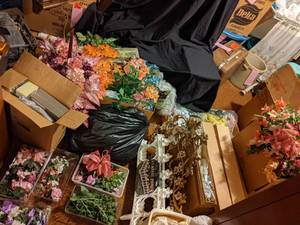 lot 358 image: Mega flower lot (so many flowers, d...