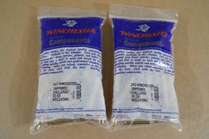 lot 161 image: 100 Winchester .243 Win Unprimed Shell Casings