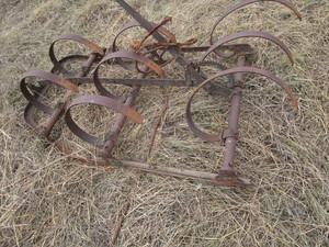 lot 14 image: Spring tooth section...