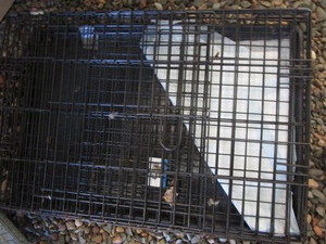 lot 172 image: Lodge wire pet kennel...