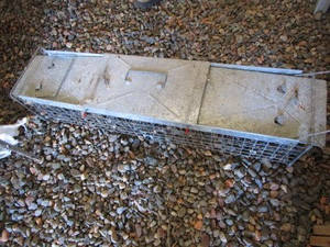 lot 185 image: Havahart live trap, double...