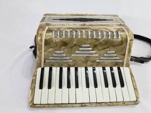 Vintage Castelfidaro Accordion