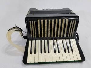 Vintage Hohner Accordion