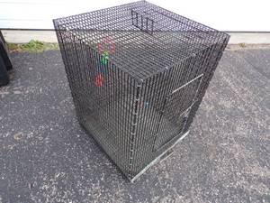 Black Bird Cage