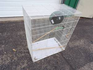White Bird Cage