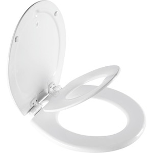Built In Potty Seat