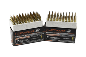 Winchester Varmint HE ammo