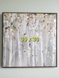 Serene Framed Print of Birch Woods