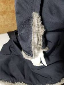 Stunning Andrea Fretti Fur Lined Blue Coat, size M