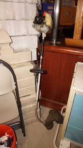Gas Echo Weed Whip