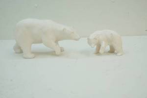polar bears