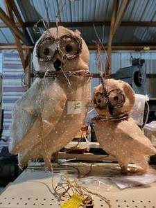 2 light up owls...