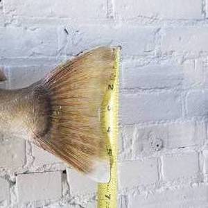 lot 1 image: 25 Walleye Trophy Mount