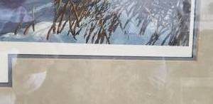 lot 7 image: David A Maass Framed Print WINDY POINT  BLUE BILLS  Signed and Numbered