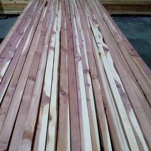 1516 Aromatic Cedar Strips (WH5)