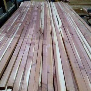 1516 Aromatic Cedar Strips (WH6)