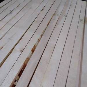1516 White Birch Strips 100 Pcs (WH7)