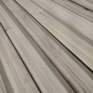 Misc. Elm Moudlings 100 LF (SCE34)