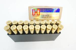 ammunition
