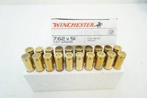 ammunition