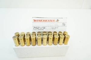 ammunition