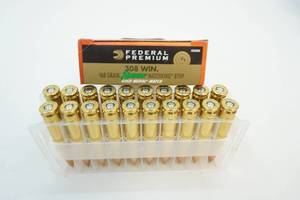 ammunition