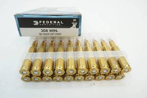 ammunition