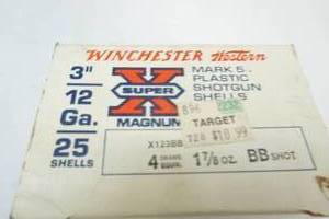 ammunition