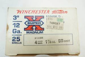 ammunition