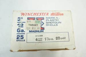 ammunition
