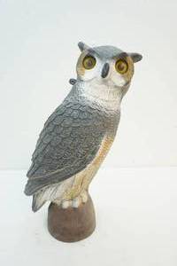 garden owl
