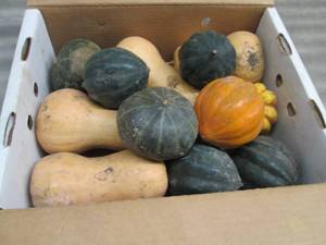 Box of Assorted Winter Squash...