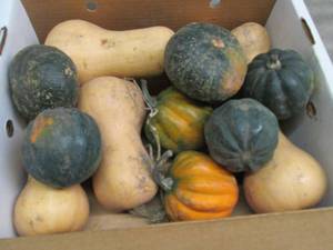 Box of Assorted Winter Squash...