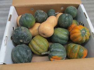 Box of Assorted Winter Squash...
