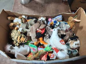 Box Of 50 Beanie Babies