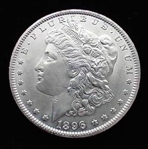 1896 Morgan Dollar