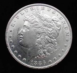 1886 Morgan Dollar