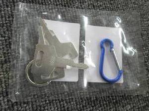 lot 176 image: 3 new keys for gehl,case and new ho...