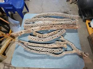 Lot of Dead and Dried Cactus for Crafts