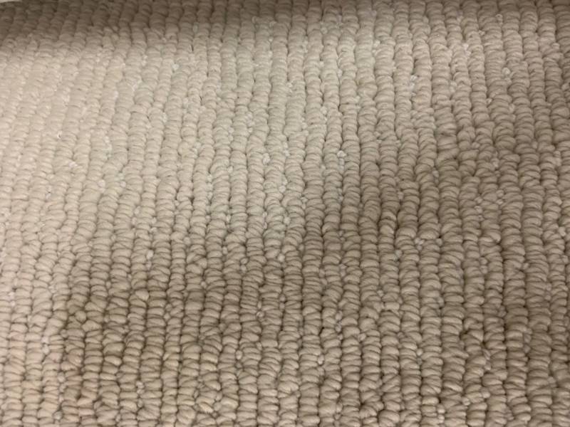144 SF of Shaw Berber Carpet - 12x12 - Off White