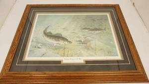 Framed & Matted Picture Of Walleyes Feeding On The Flats By Les C. Kouba & Signed By Him--27 14  x  34 12