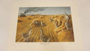 Signed Print By Les C. Kouba--Sharptails At Harvest Time--(Grouse)--Koubas American Classic Series #2--22  x  29
