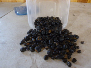 lot 41 image: Apache Tears Stones