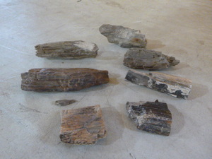 lot 47 image: Petrified Wood