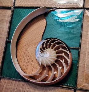 Artist Created Stained Glass Shell Panel