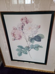 Pair of Gold Framed Floral Prints