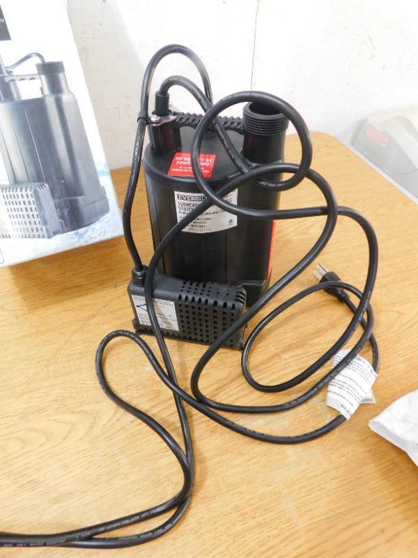 lot 60 image: Everbilt 13 HP Automatic Utility Pump