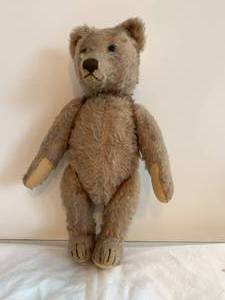Bear with Personality