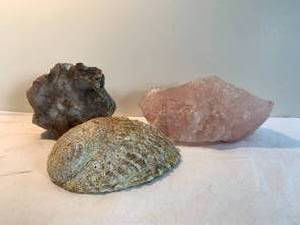 Shell with rocks.