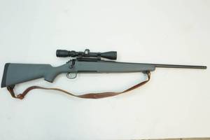 Remington Gun